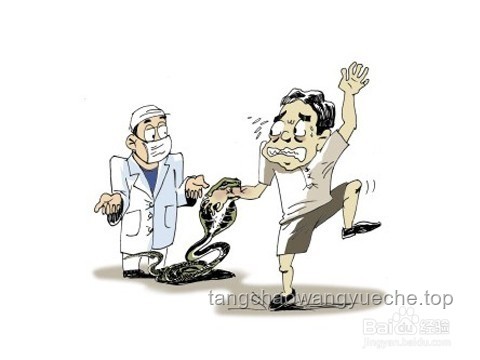 毒蛇咬伤启示录：跨界救援与应急创新